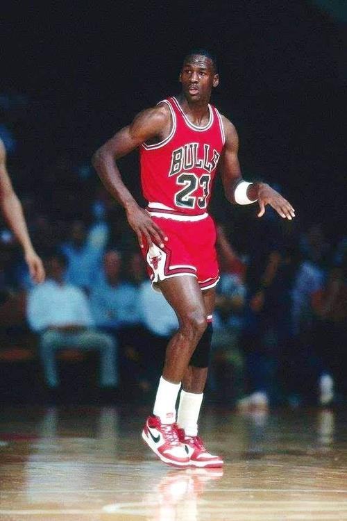 明了他的价 明了他的价