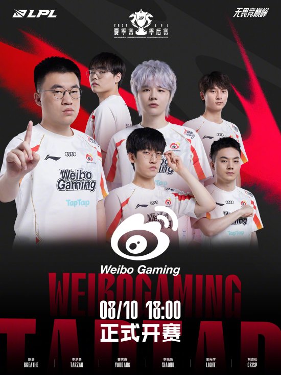 挥了球队的 挥了球队的